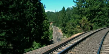 Transdev “analisará todos os processos” na subconcessão de linhas da CP