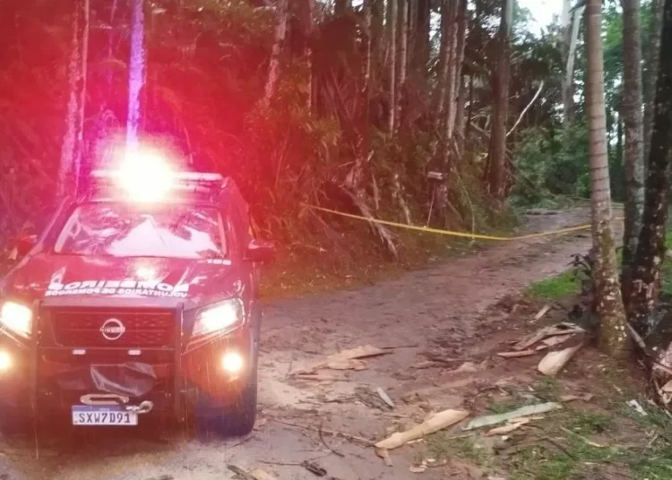 Homem morre após ser atingido por árvore em Pomerode