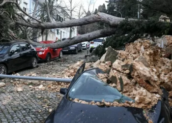Associação dos corretores de seguros defende fundo de catástrofes com Estado e seguradoras