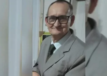 Pit bull pula muro e morde idoso nos braços e pernas durante serviço de energia em SC