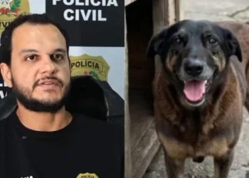 Polícia pede internação de adolescente investigado pela morte do cão Orelha em SC