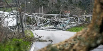 Tempestades: Guia prático da TwinklOO ajuda famílias a lidar com danos em habitações