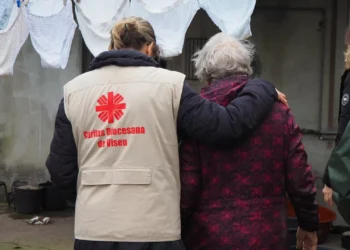 Cáritas de Leiria lança plataforma online de apoio a vítimas do temporal