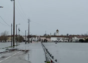 Militares transportaram mais de 400 pessoas em Ereira