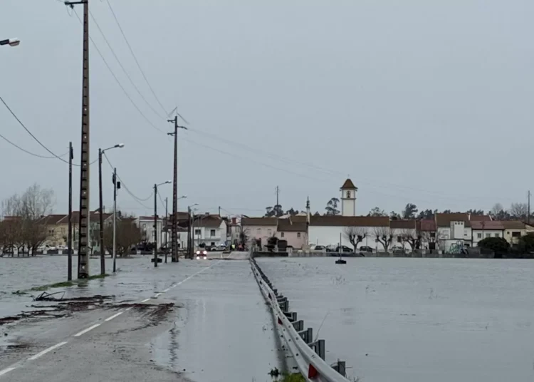 Militares transportaram mais de 400 pessoas em Ereira