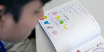 Dezanove crianças de escola em Coimbra recebem tratamento por infeção