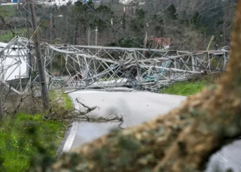 Mais de 5 mil km de rede elétrica danificada em todo o país com tempestade Kristin