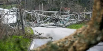 Mais de 5 mil km de rede elétrica danificada em todo o país com tempestade Kristin