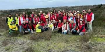 Fidelidade e associação Zero unem esforços para reflorestar a Mata Nacional de Leiria